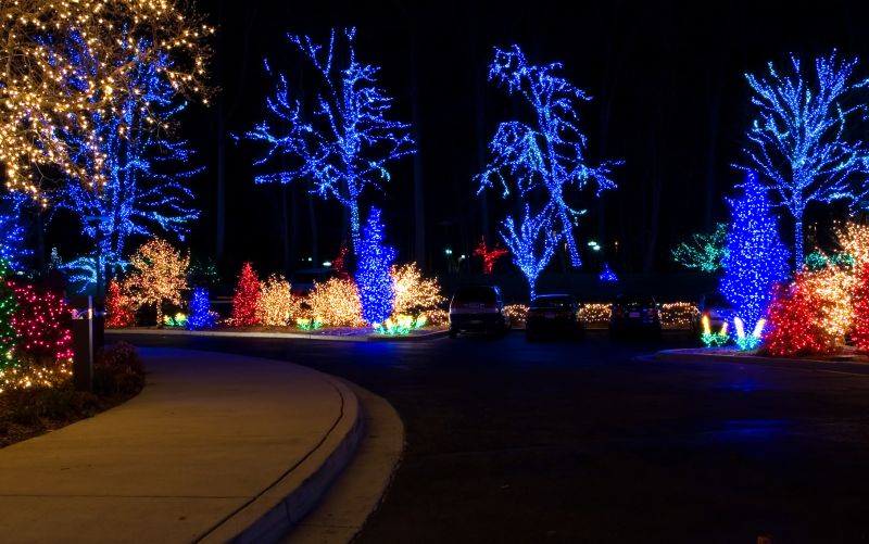 Complete Holiday Lighting