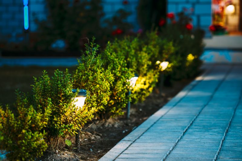 Landscape Lighting Repair in Denver County, CO