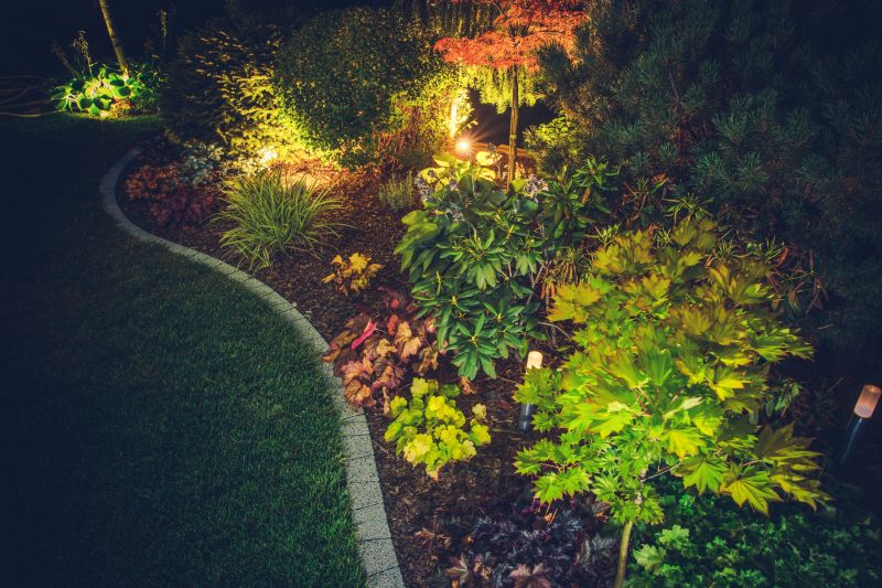 Landscape Uplighting